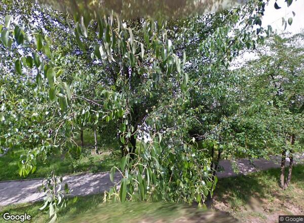 Ceny mieszkań Warszawa ul. gen. R. Abrahama 4