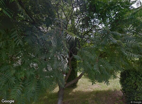 Ceny mieszkań Lublin Dziewanny 4