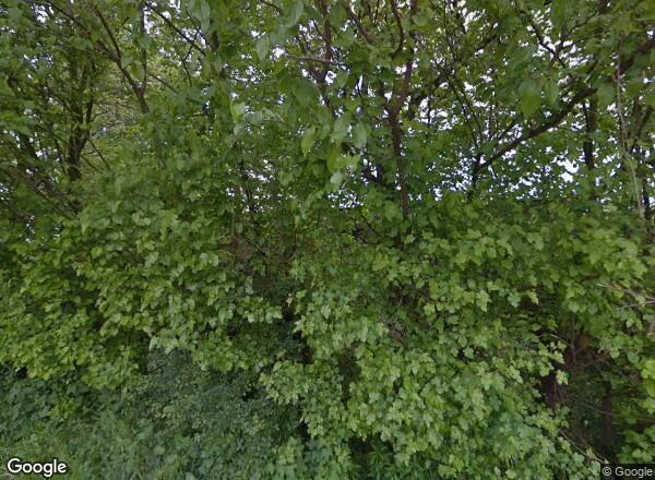 Ceny mieszkań Poznań Franciszka Firlika 5