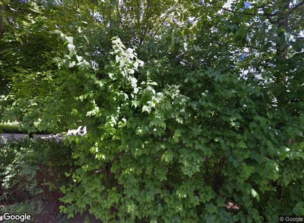 Ceny mieszkań Poznań Rusa 39