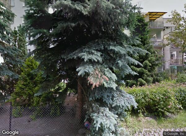 Ceny mieszkań Warszawa ul. Jana Wasilkowskiego 11
