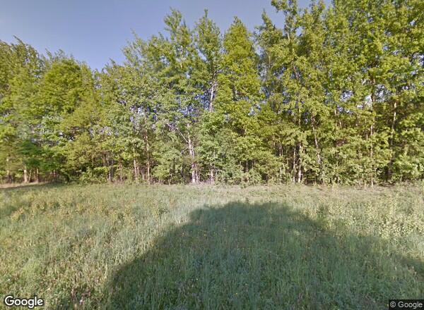 Ceny mieszkań Łódź Wierzb Płaczących 5