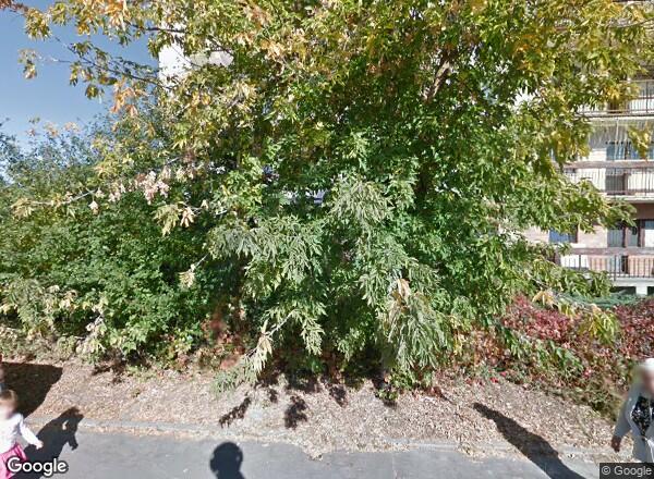 Ceny mieszkań Łódź Żabia 8