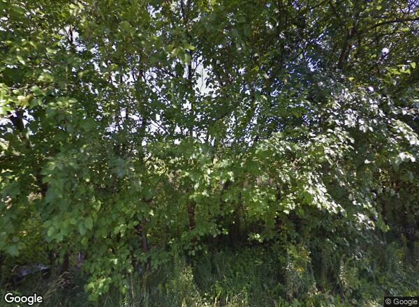 Ceny mieszkań Poznań Franciszka Firlika 7