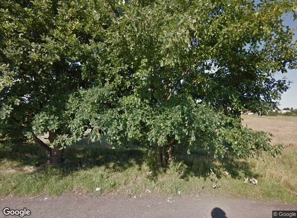 Ceny mieszkań Wrocław UL. ŁOMŻYŃSKA 9