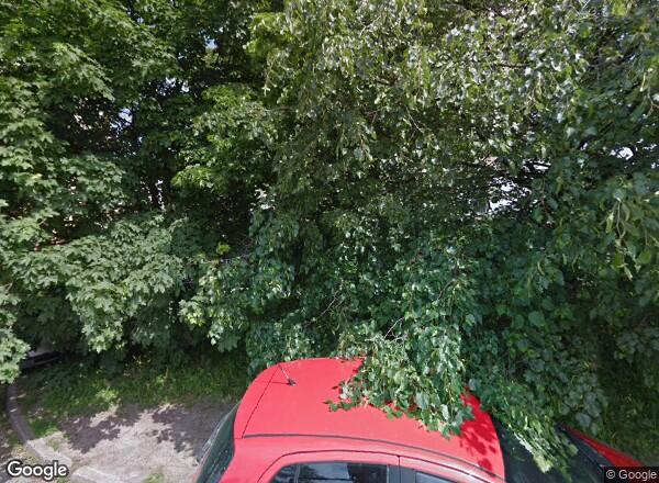 Ceny mieszkań Łódź Aleja Tadeusza Kościuszki 128