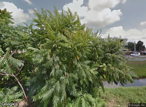 Ceny mieszkań Warszawa ul. Nad Strugą 19