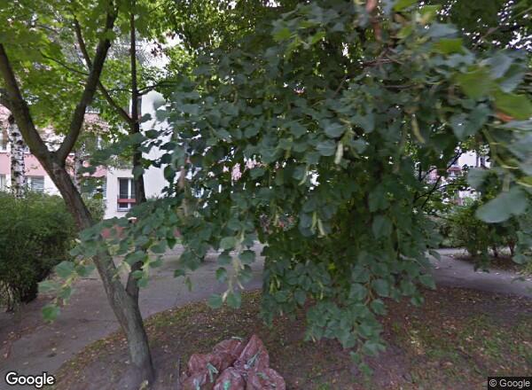 Ceny mieszkań Wrocław UL. GAJOWICKA 125