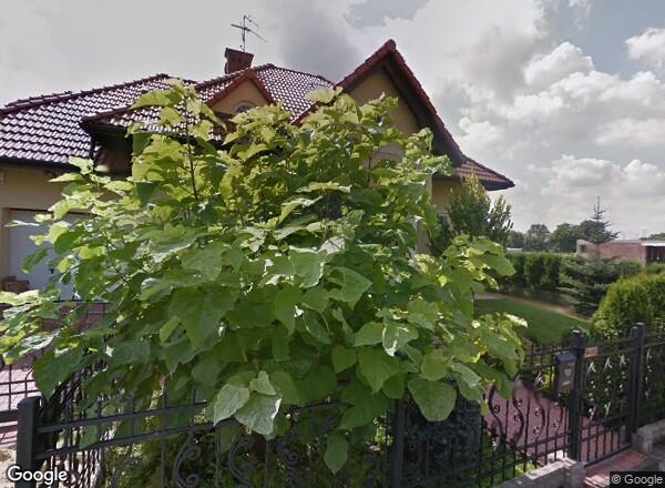 Ceny transakcyjne mieszkań Rzeszów Kard. Karola Wojtyły 11