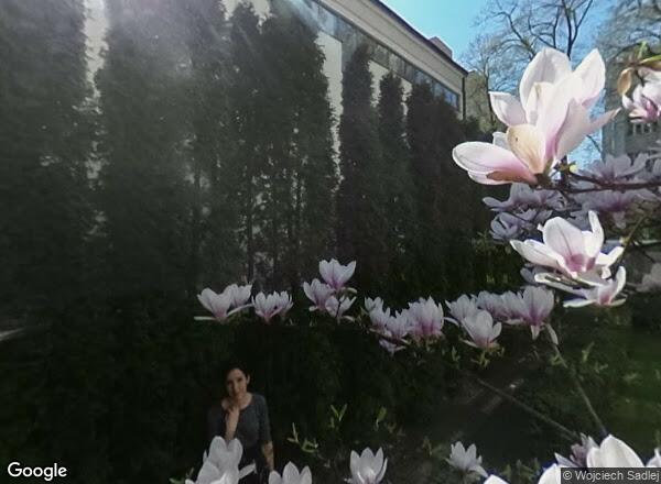 Ceny mieszkań Warszawa ul. L. Narbutta 25A