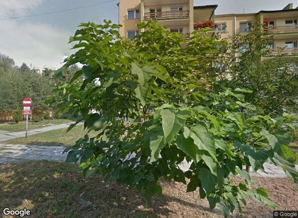 Ceny transakcyjne mieszkań Lublin Kosmonautów 86