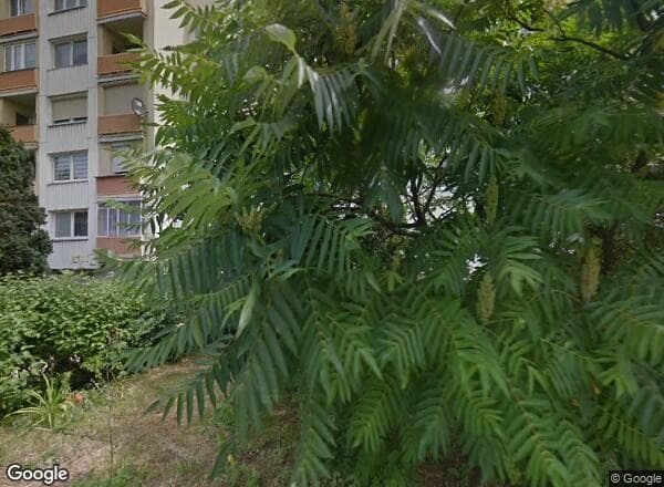 Ceny transakcyjne mieszkań Gorzów Wielkopolski KAZIMIERZA PUŁASKIEGO 2C