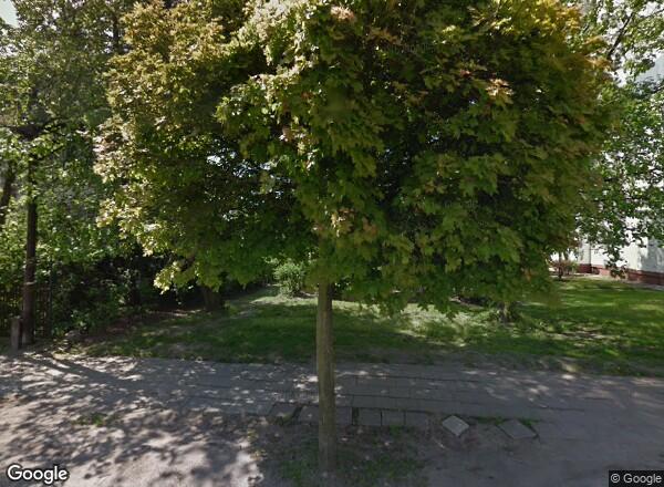 Ceny mieszkań Poznań Macieja Palacza 135