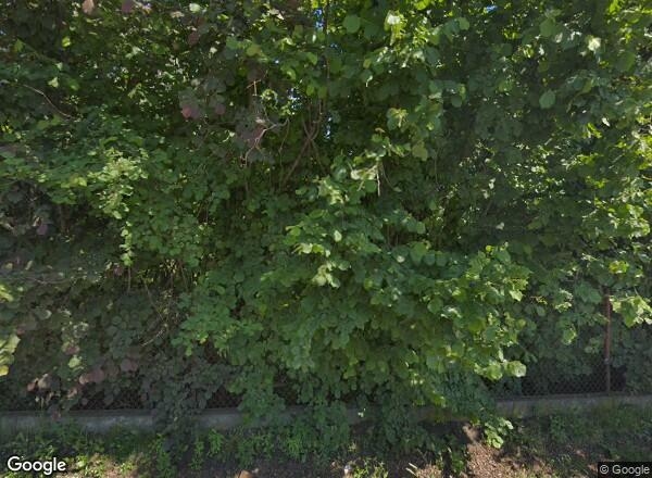 Ceny transakcyjne mieszkań Warszawa ul. Piastowska 10A