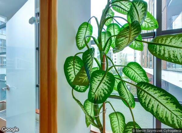 Ceny mieszkań Warszawa ul. Obrzeżna 1C