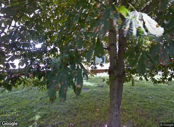 Ceny mieszkań Szczecin Włościańska 10