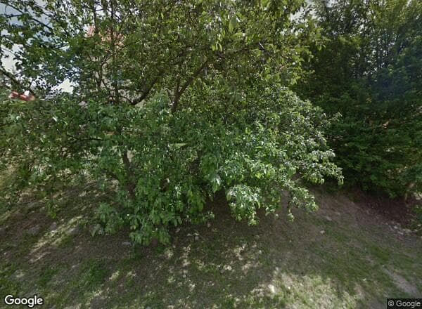 Ceny transakcyjne mieszkań Olsztyn Jana Żiżki 1