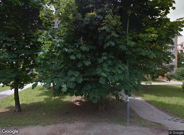 Ceny transakcyjne mieszkań Kielce Edmunda Massalskiego 24