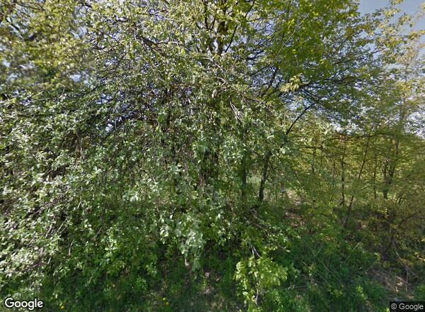 Ceny mieszkań Łódź Ks. Piotra Wawrzyniaka 2