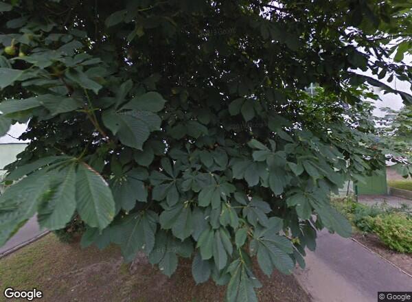 Ceny mieszkań Warszawa ul. J. Meissnera 14
