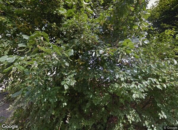 Ceny transakcyjne mieszkań Zielona Góra Jeżykowa 7