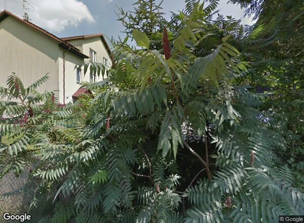 Ceny mieszkań Kraków Aleksandra Krępy 14