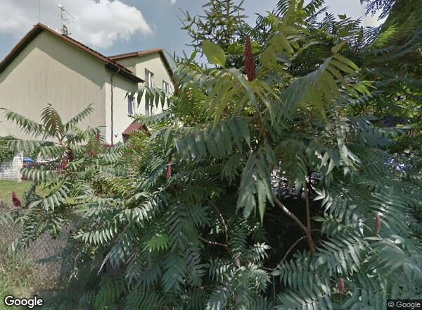 Ceny mieszkań Kraków Aleksandra Krępy 18