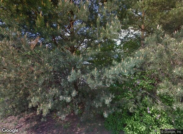 Ceny mieszkań Warszawa ul. W. Broniewskiego 9