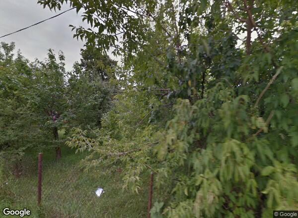 Ceny mieszkań Warszawa ul. Wspólna 17