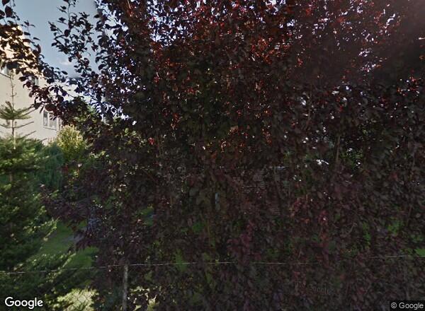 Ceny mieszkań Wrocław UL. GEN. JÓZEFA WYBICKIEGO 14