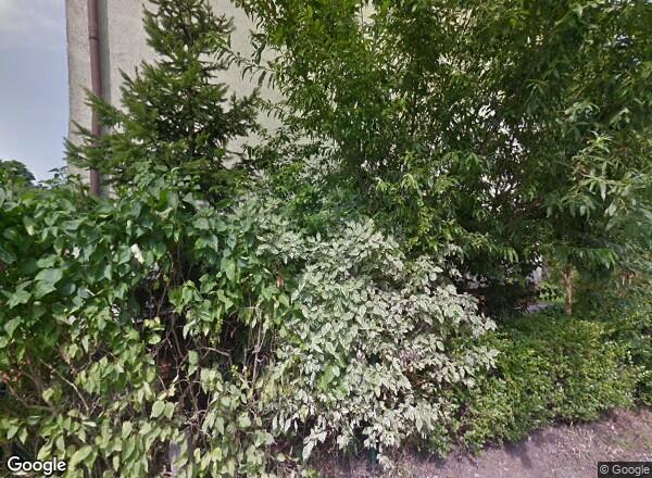 Ceny mieszkań Szczecin Pawła Włodkowica 18