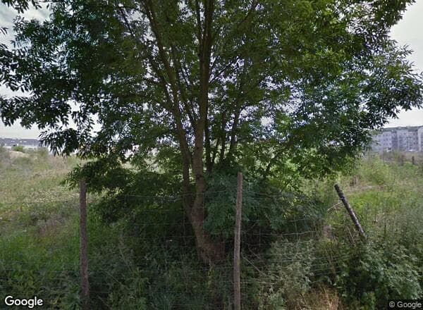 Ceny transakcyjne mieszkań Gorzów Wielkopolski GEN. KAZIMIERZA SOSNKOWSKIEGO 49