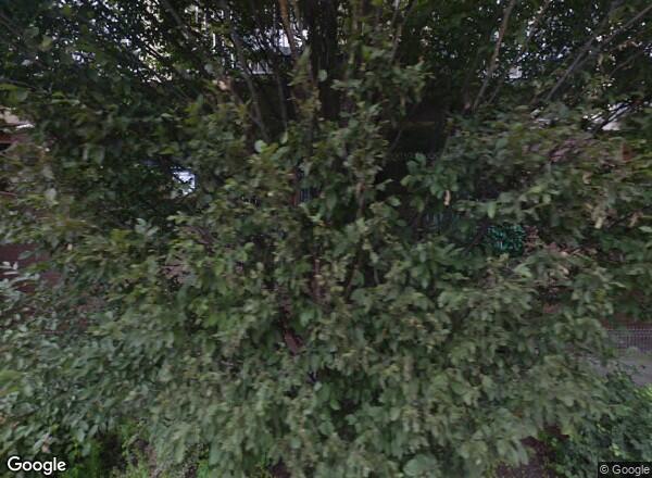 Ceny mieszkań Wrocław UL. MIKOŁAJA REJA 74