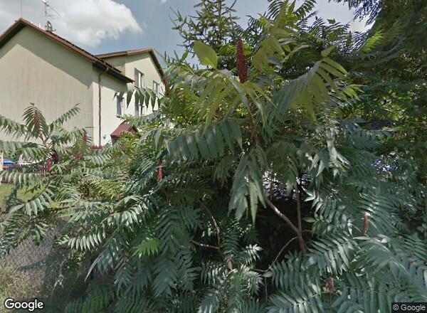 Ceny mieszkań Kraków Aleksandra Krępy 16