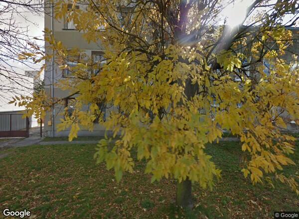 Ceny mieszkań Łódź Browarna 14