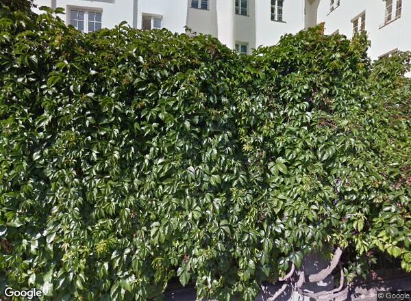 Ceny mieszkań Warszawa ul. Górnośląska 16