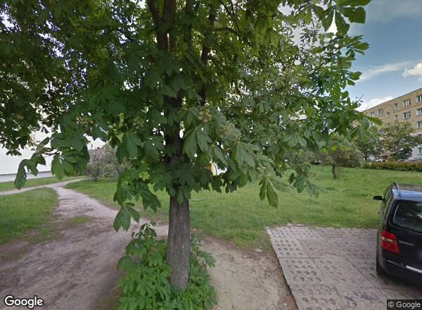 Ceny mieszkań Łódź Królewska 4