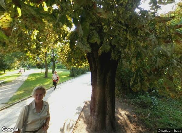 Ceny mieszkań Sopot Tadeusza Kościuszki 33