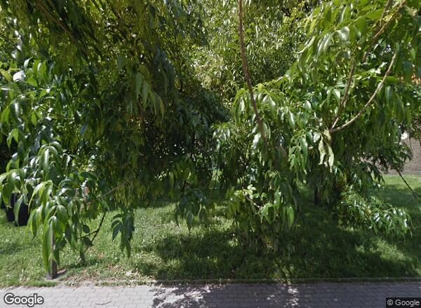 Ceny transakcyjne mieszkań Wrocław PL. MONGOLSKI 4