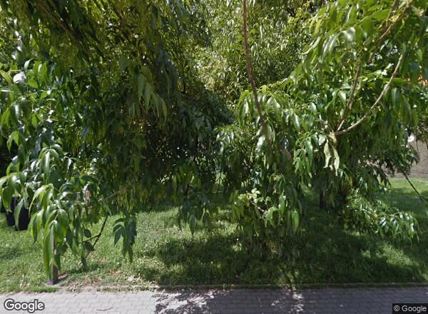 Ceny mieszkań Wrocław PL. MONGOLSKI 4