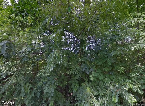 Ceny transakcyjne mieszkań Gorzów Wielkopolski BRUKSELSKA 11