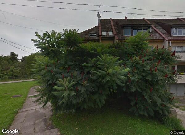 Ceny mieszkań Szczecin Hoża 20