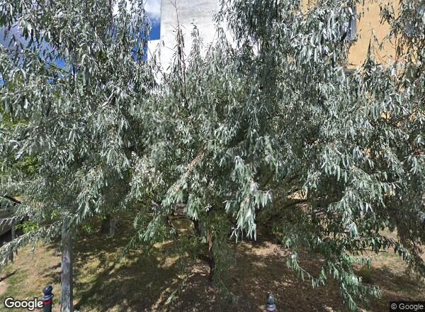 Ceny mieszkań Warszawa ul. Komorska 8