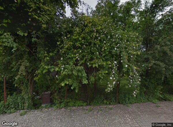 Ceny transakcyjne mieszkań Warszawa ul. J. Michałowicza 1