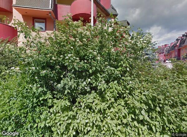 Ceny mieszkań Wrocław UL. STEFANA JARACZA 63B