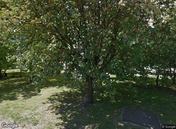 Ceny mieszkań Kielce Wiśniowa 9