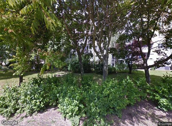 Ceny mieszkań Poznań Czecha 41