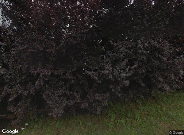 Ceny mieszkań Wrocław UL. MELCHIORA WAŃKOWICZA 2