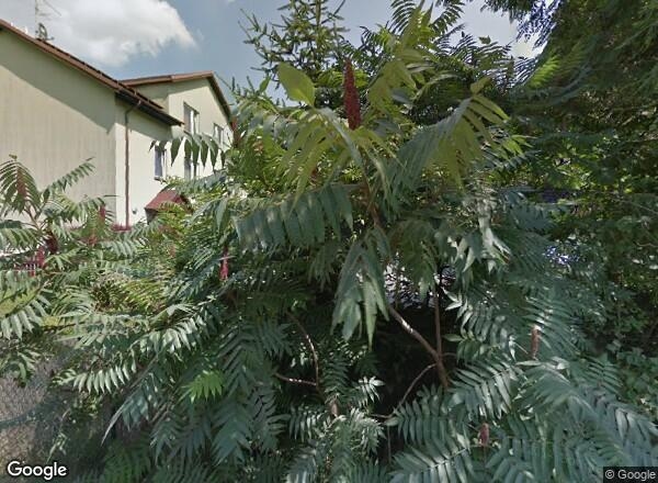 Ceny transakcyjne mieszkań Kraków Aleksandra Krępy 12