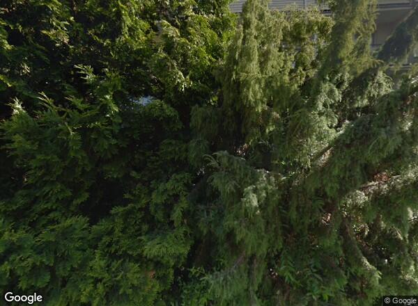 Ceny mieszkań Szczecin Seledynowa 69